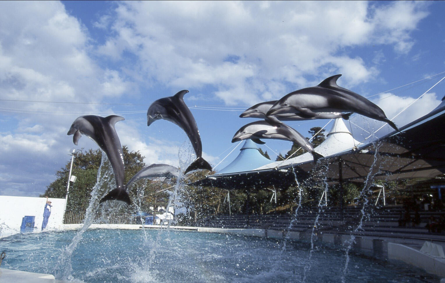 のとじま水族館