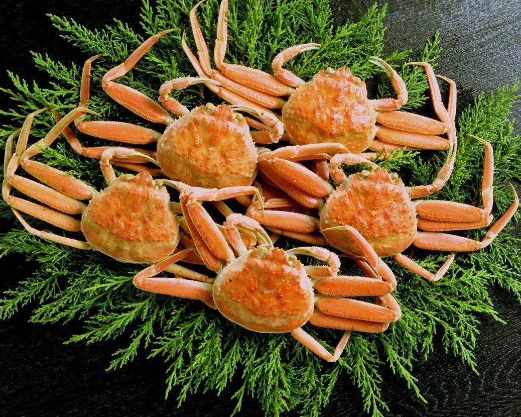 香箱かに（石川県産ズワイガニメス）